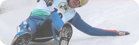 Luge Banner